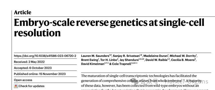 Nature丨斑马鱼基因编辑快速验证基因功能，破解生命密码！