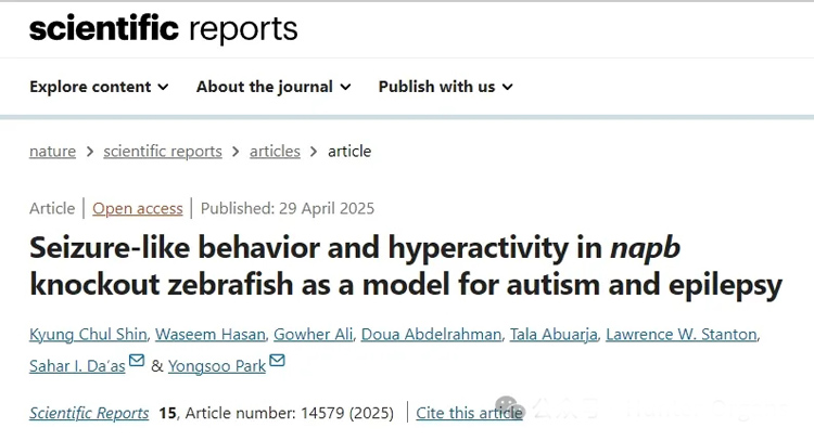 Sci. Rep.丨斑马鱼自闭症及癫痫模型，可用于NAPB基因相关疾病机制探究