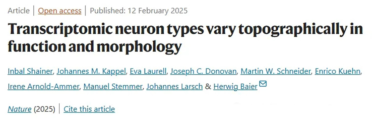 1770085608187705.jpg 1.jpg