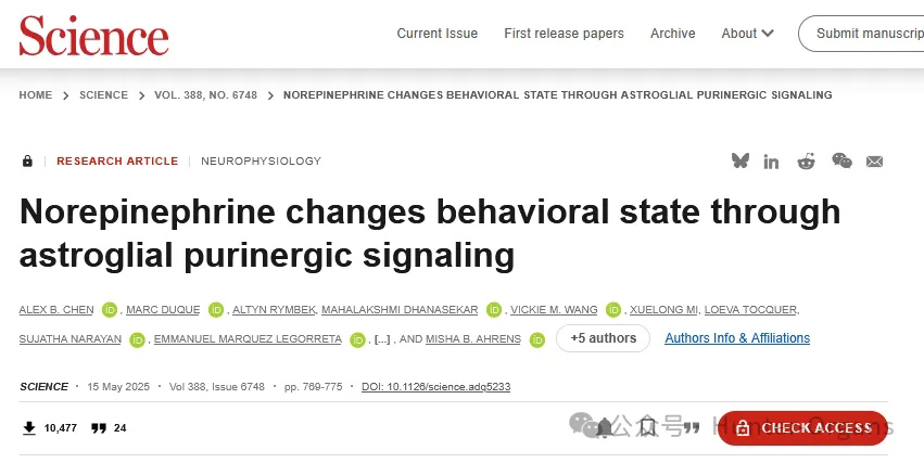 1770085624143105.jpg 3.jpg