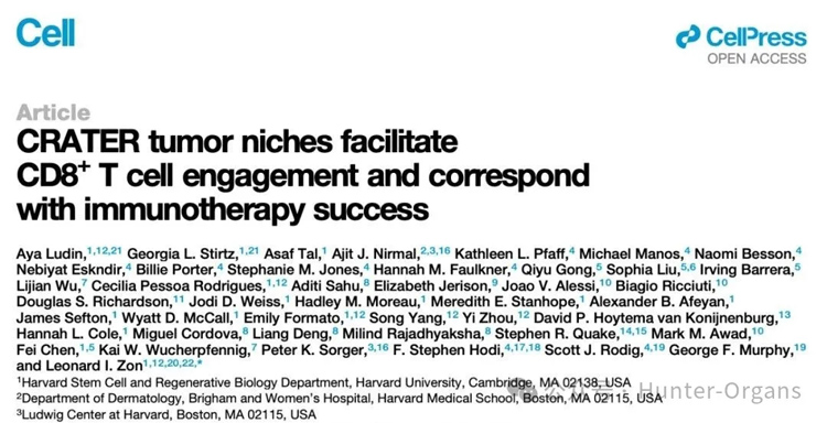 1770085630698279.jpg 5.jpg