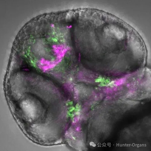 1770085643184280.jpg 8.jpg