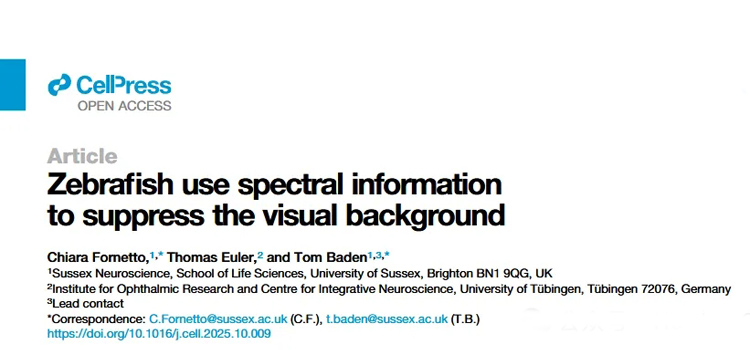 1770085646168931.jpg 9.jpg