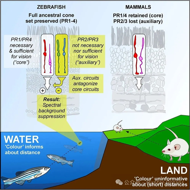 1770085651618794.jpg 10.jpg