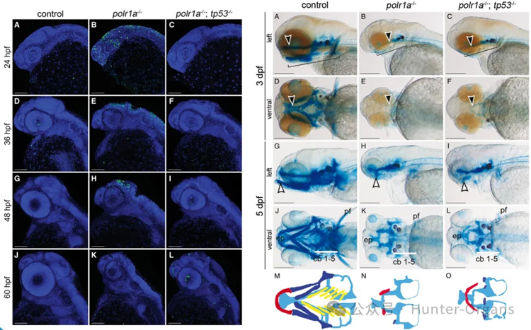 1772246149206153.jpg 6.jpg