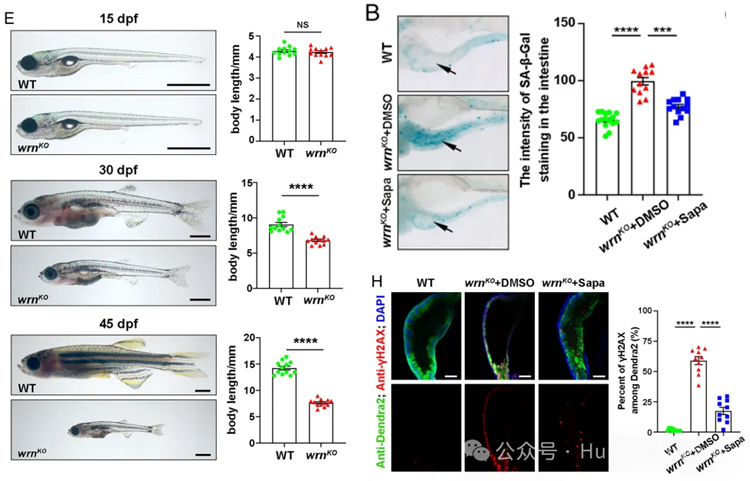 1772246164143088.jpg 2.jpg