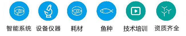斑马鱼实验室建设服务